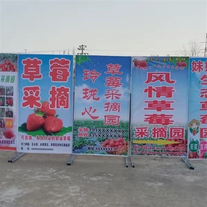 草莓园立式牌广告牌 落地草莓采摘海报贴纸 户外宣传喷绘布定制