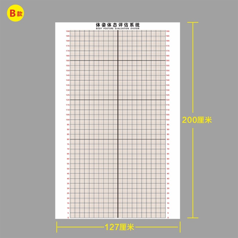 体态评估表墙贴健n身房体测网格纸瑜伽馆私教姿势体位背景墙体