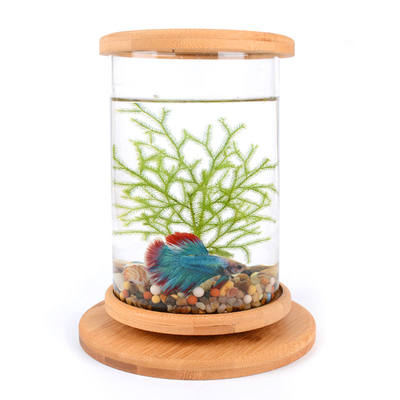 速发新品桌面生态瓶创意办公室钢化玻璃微景缸旋转卧室鱼缸斗鱼缸