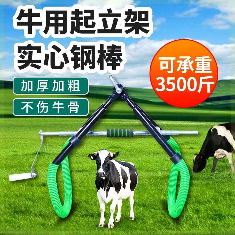 牛起立架加厚大牛辅助站立器母牛保定器提牛器牛用支撑架养牛设备