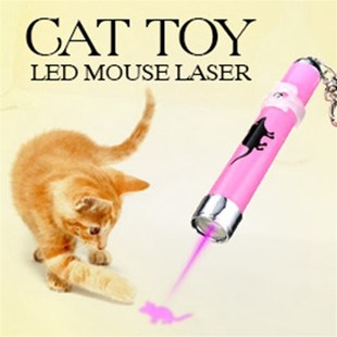 Funny Amazingly Creative Toy 推荐 Cat and Toys LED Pet