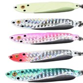 浪牛铁板水狗铁板路亚爆款 岸投岸钓淡水海钓远投亮片金属翘嘴鲈鱼