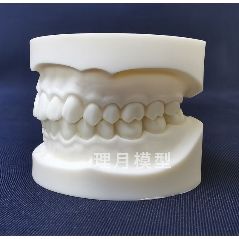 白刚玉备牙模型  烤瓷基牙模预牙医执考练习牙硬度备牙洞牙齿打磨