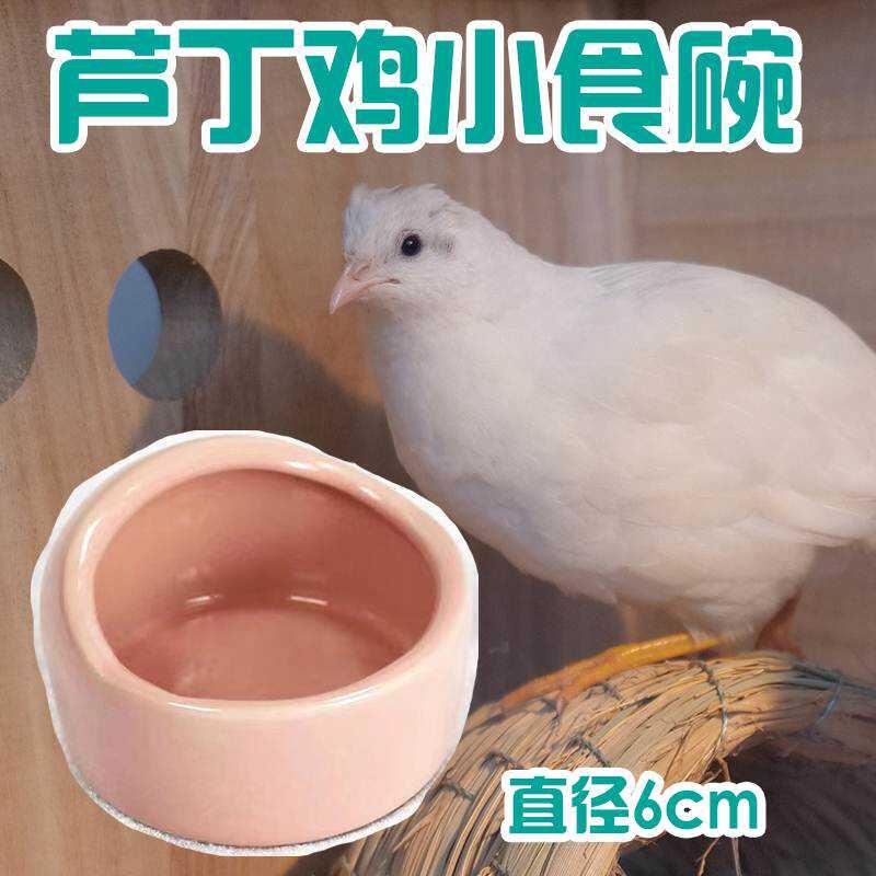 速发芦丁鸡喂食器 鹌鹑雏鸡小鸡加高食槽水槽水壶食盆饮水器