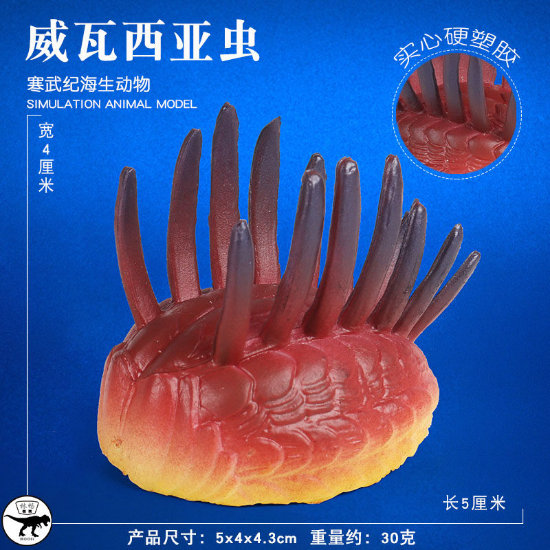 热销中寒武纪史前海洋生古马尔虫皮卡虫模叶虫三型儿童仿真远物动