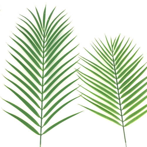 10片装特惠散尾葵叶大铁树叶北欧家E居装饰植物墙婚庆插花气球搭