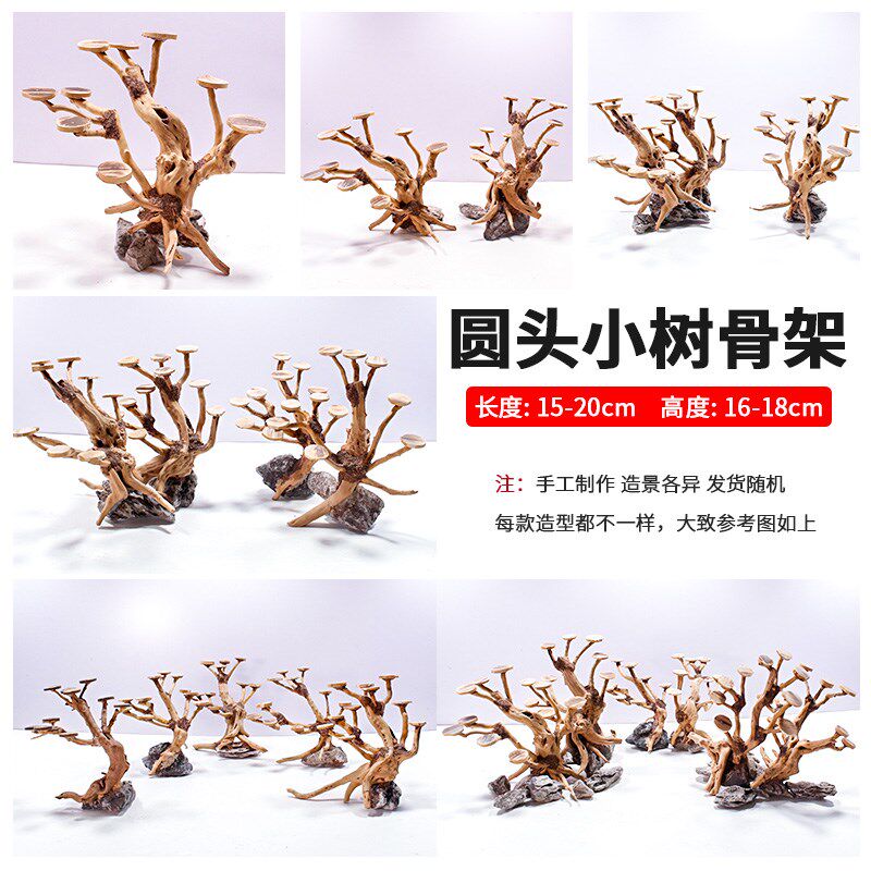 鱼缸造景沉木树圆头莫斯树椰壳片水草树迎客松骨架成品草缸树桩根