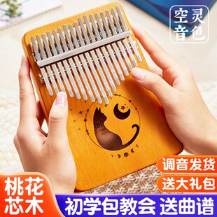 ZANI专尔拇指琴正品手指钢琴初学者卡林巴琴17音21音女生易学现货