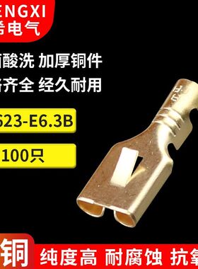 6.3平板带刺插簧 汽车喇叭250接线端子DJ623-E6.3B铜插接式100只
