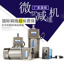 微型交流调速电机220V单相小型齿轮减速电机380V减速机带电机马达