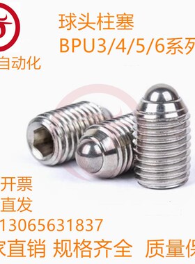 球头柱塞BPU3/4/5/6/8/10/16/20