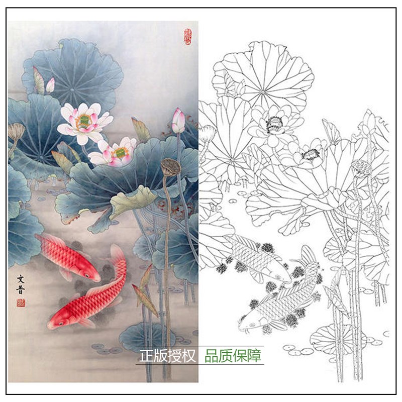 极速工笔画白描底稿於文普荷花鲤鱼实物白纸勾线打印稿尺寸可选-W