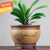 宜兴紫砂花盆陶瓷大码 包邮 君子兰花盆玫瑰月季 盆桌面家用清仓特价