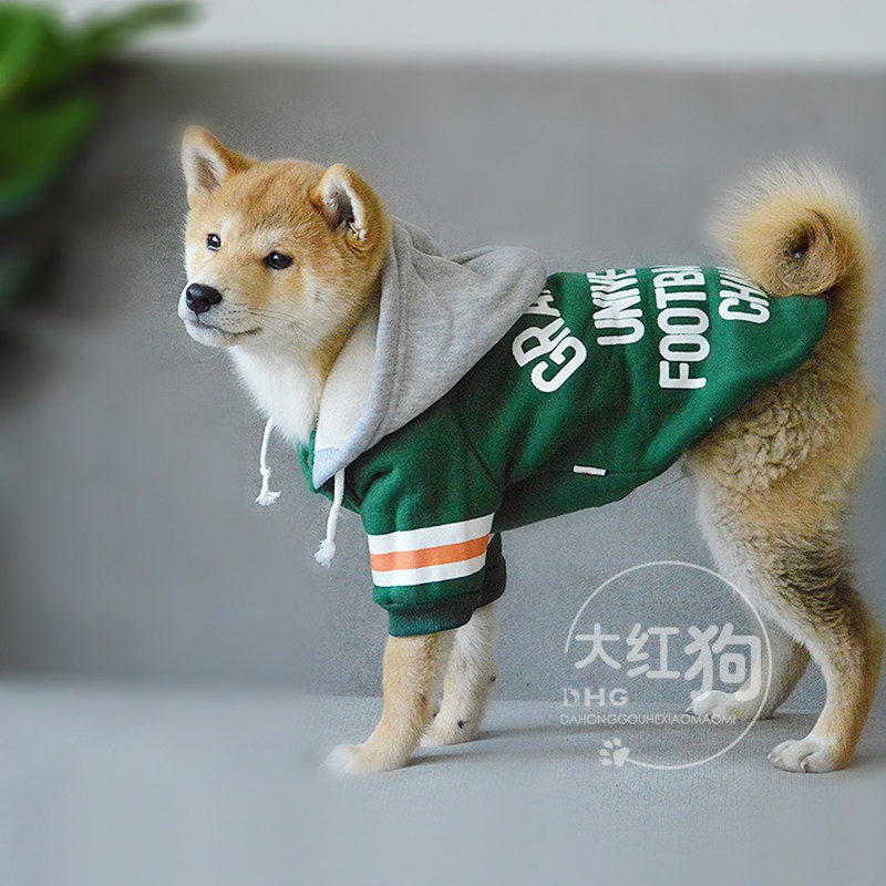 大红色狗 宠物卫衣 灰色帽衫字母连帽衫柴犬外出绒面保暖春季狗衣