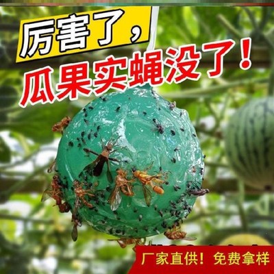 极速粘虫球粘蚊子球沾蝇球诱蝇球橘子树上驱虫球果园杀虫的球粘苍