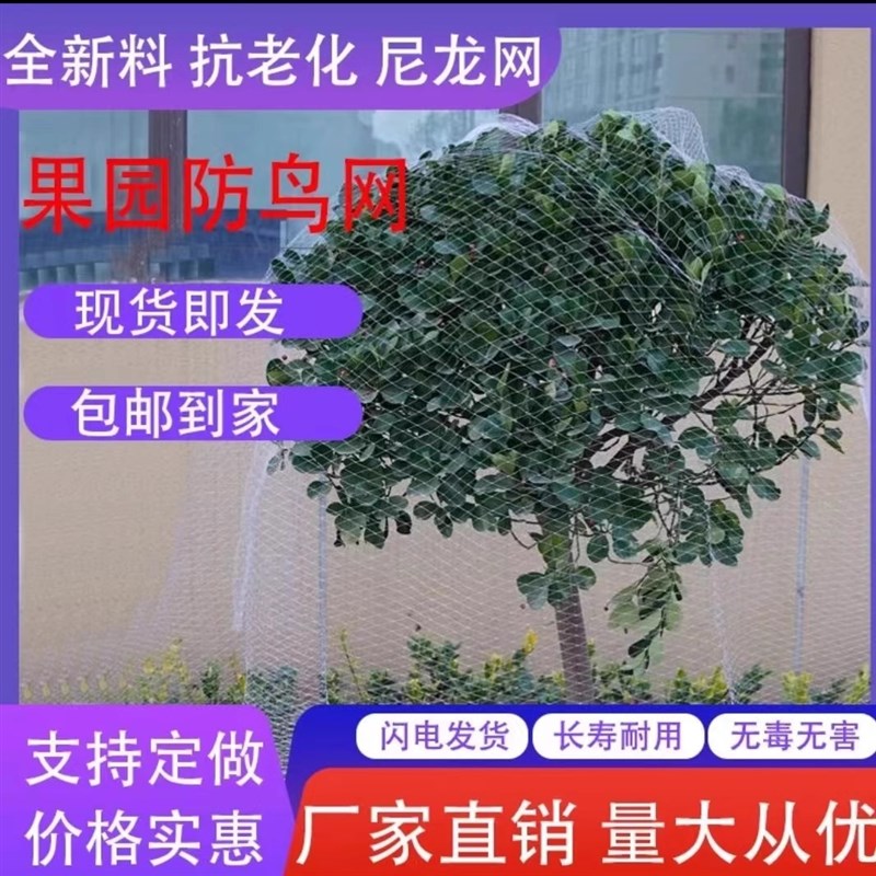 现货尼龙果树小孔防鸟网嘉宝果枇杷蓝莓樱桃果园防鸟罩菜地大棚养