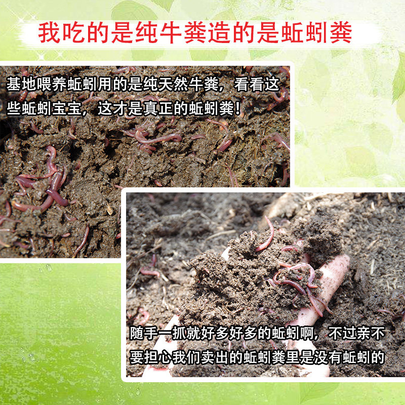 现货蚯蚓粪有机肥k蚯蚓粪养花肥料通用型月季肥种菜花卉家庭多肉