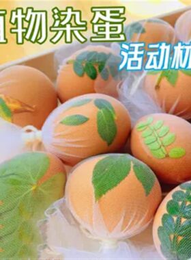 幼儿园立夏植物花草染蛋纱布网袋母亲节端午节亲子手工活动材料