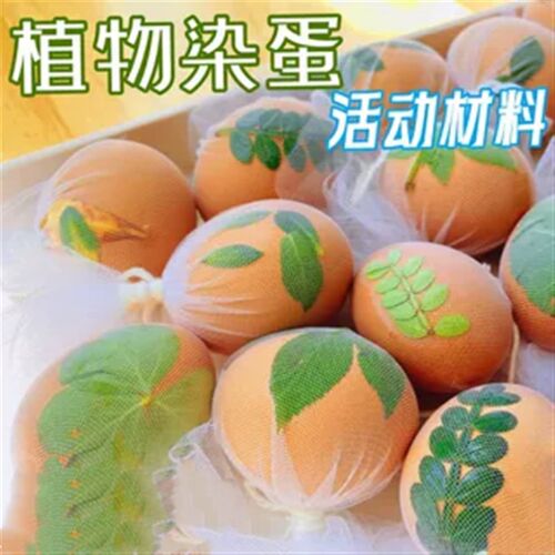 幼儿园立夏植物花草染蛋纱布网袋母亲节端午节亲子手工活动材料