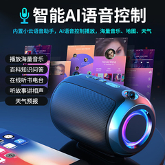 新款新品新款智能小音箱蓝牙无线家用低音炮户外大R音量便携式迷