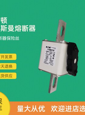 全新快速熔断器保险170M5710 170M5711 170M5712 170M5713