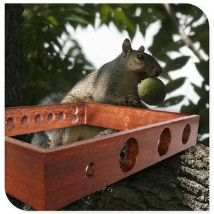 木机箱40CM QN4003 胆机木箱 电子管功放机箱 30CM 红胡桃木框