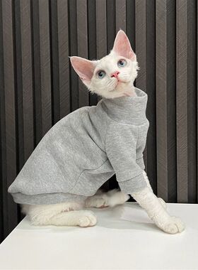加厚绒高领毛衣无毛猫衣服德文衣服斯芬克斯猫任发财