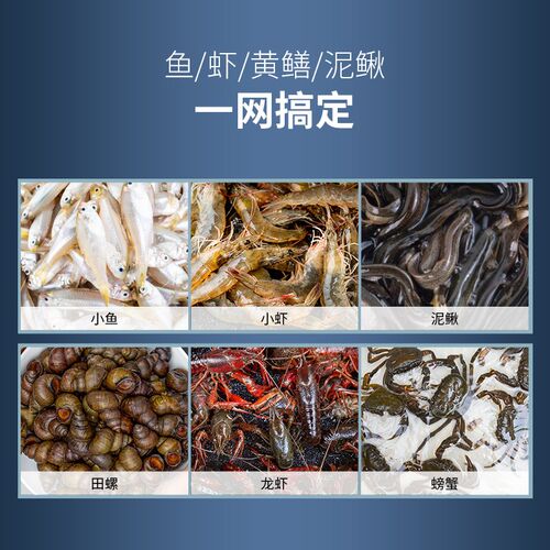 现货渔网鱼笼虾笼捕虾网捕鱼笼龙虾王F捕鱼神器捉鱼虾网白色圆形