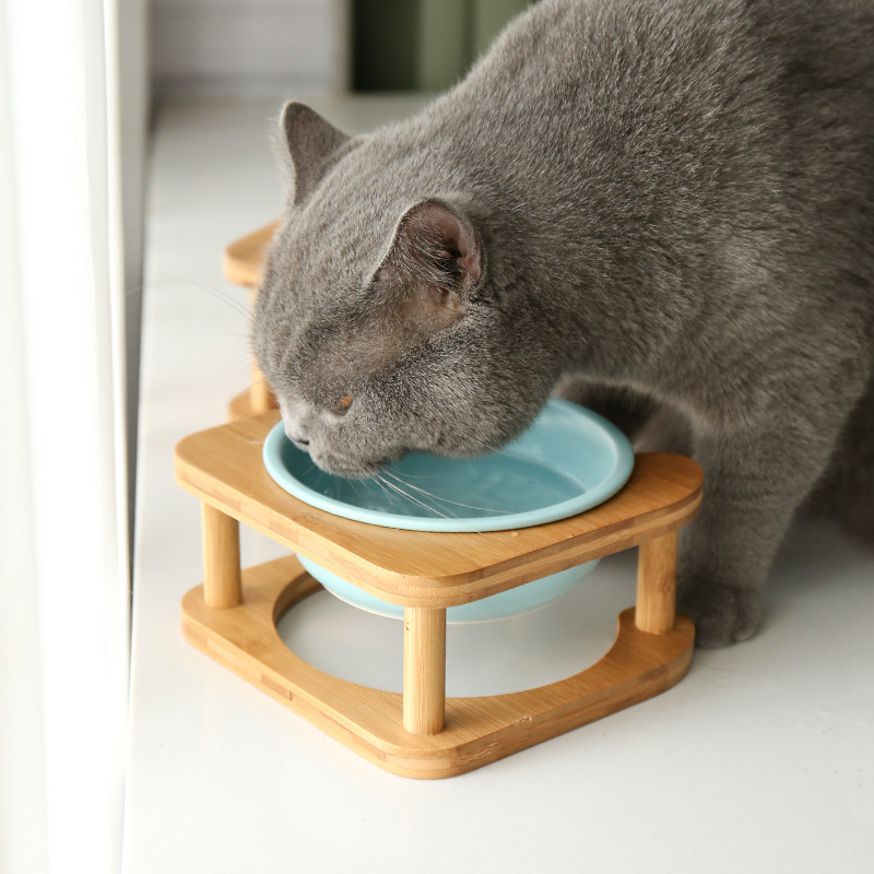 速发陶瓷猫碗猫咪食盆猫咪粮碗陶瓷狗盆狗碗饮水碗双碗保护颈椎防-封面