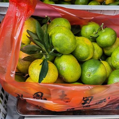 千岛湖正宗界首橘子新鲜10斤整箱当季时令水果孕妇早熟柑橘皮薄