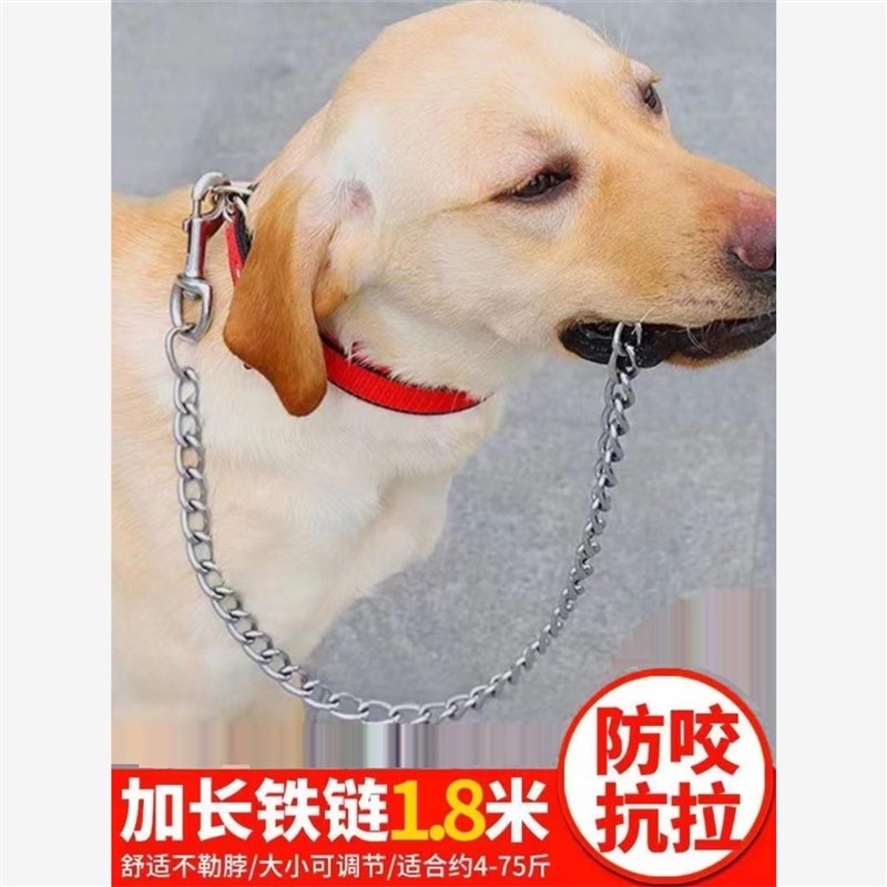 拴狗链子狗链土狗防咬链可调节自动扣大中型犬遛狗牵引绳拴铁狗链