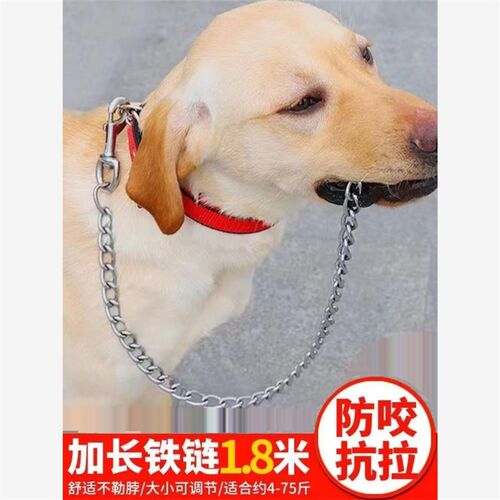 拴狗链子狗链土狗防咬链可调节自动扣大中型犬遛狗牵引绳拴铁狗链