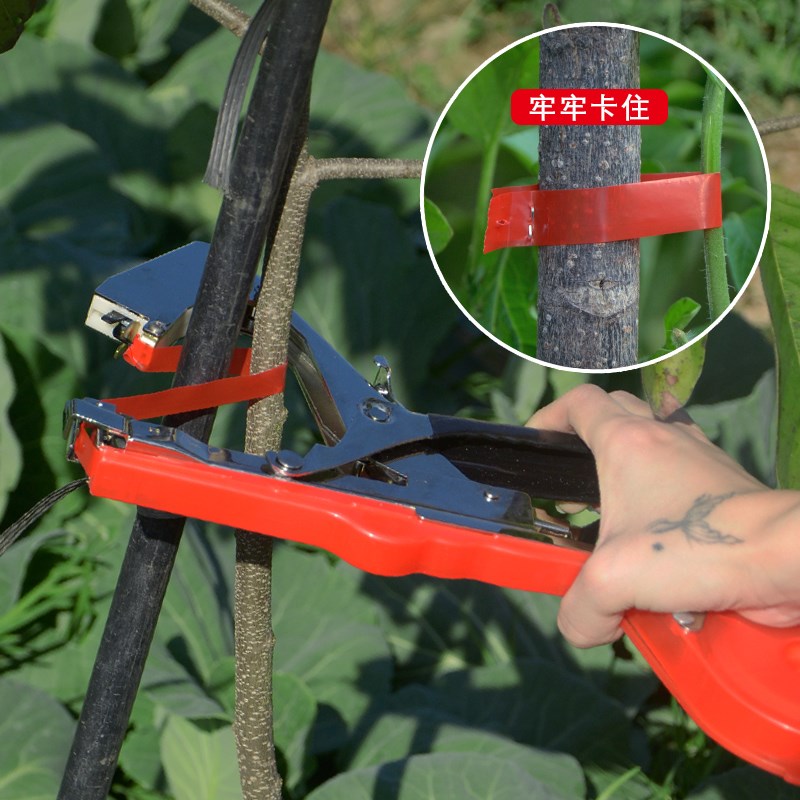 番茄西红柿绑带葡萄绑枝机胶带钉子绑扎蔓器绑枝带绑枝机专用胶带