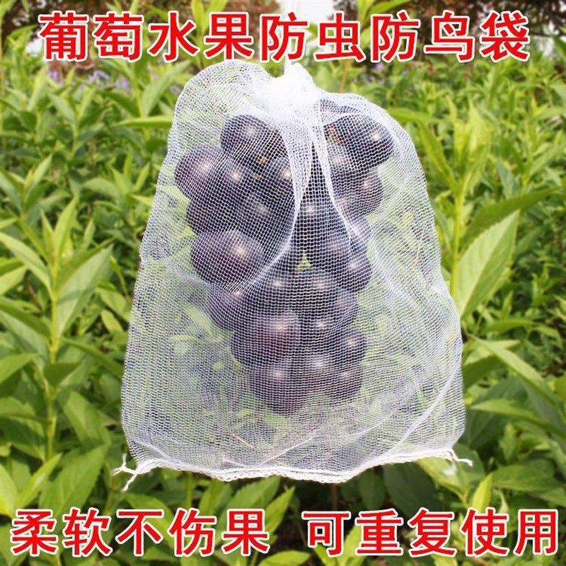 葡萄套袋专用袋子防虫防鸟神器纱网袋水果草莓阳光玫瑰保护袋套袋,鲜花速递/花卉仿真/绿植园艺,其它园艺用品,淘宝优惠券,粉丝福利购,淘宝优惠卷