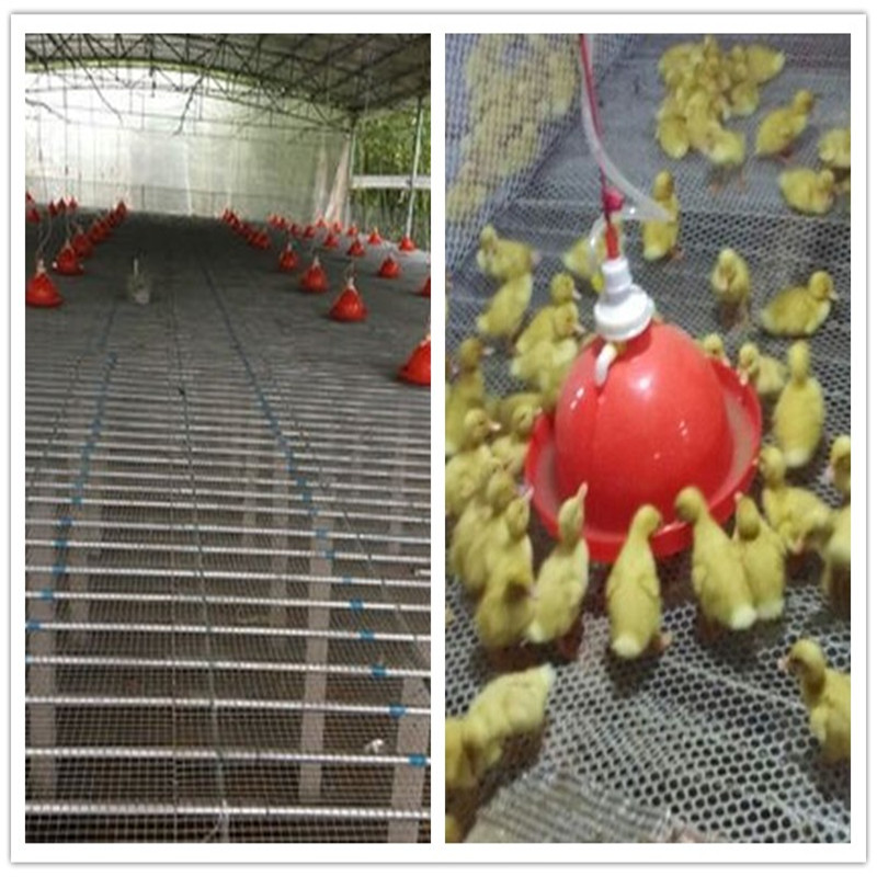速发鸡场养殖设备普拉松鸡用自动饮水器鸡鸭鹅自动喂水器小鸡饮水