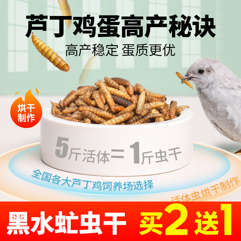 推荐芦丁鸡零食仓鼠乌龟鸟鸡鸭荷兰猪零食虻虫干黄粉虫面包虫粮食