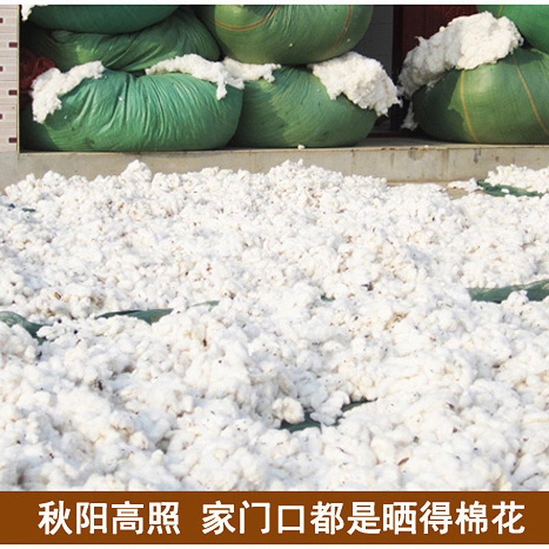 花被子手工棉被春秋全棉胎被芯垫被棉絮床垫10斤加厚保暖冬被,床上用品,棉花被,淘宝优惠券,粉丝福利购,淘宝优惠卷