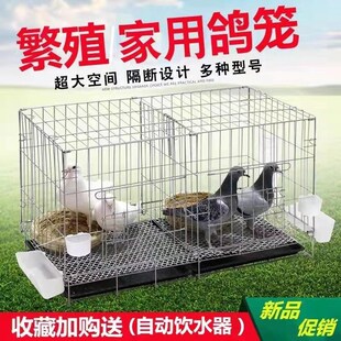 鴿子籠家用養殖籠鴿子配對籠大號鴿子籠家用帶隔斷繁殖養殖鴿籠清