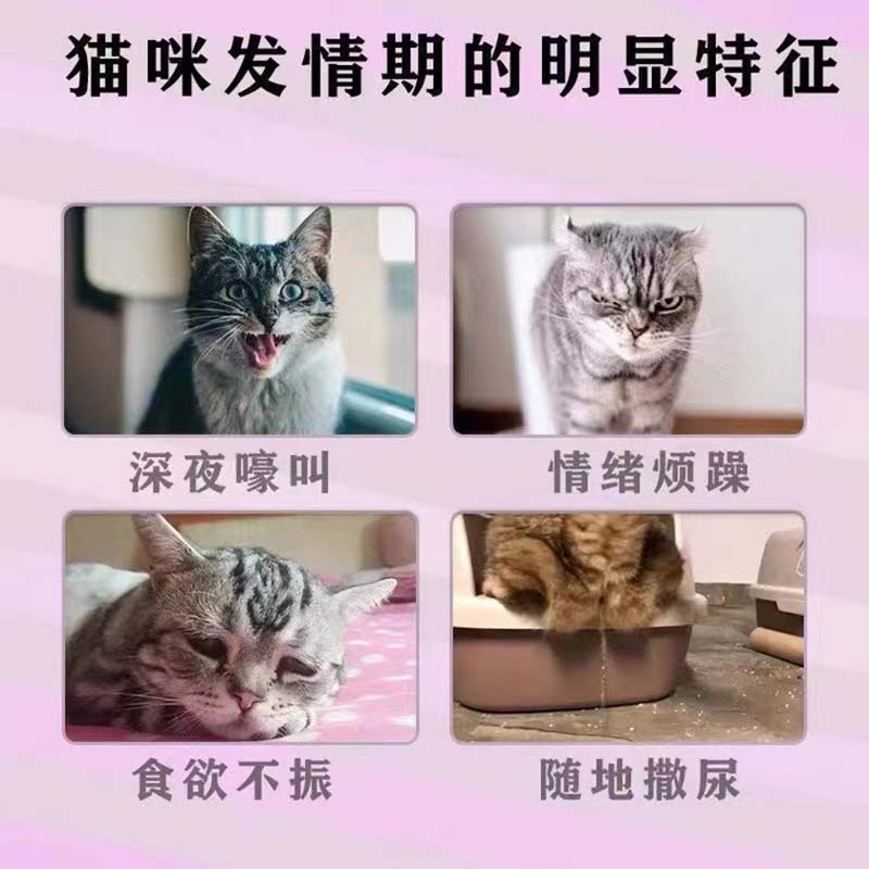 速发猫咪禁情粉宠物公母猫咪发情狗叫绝育禁情粉专用避孕抑制药液