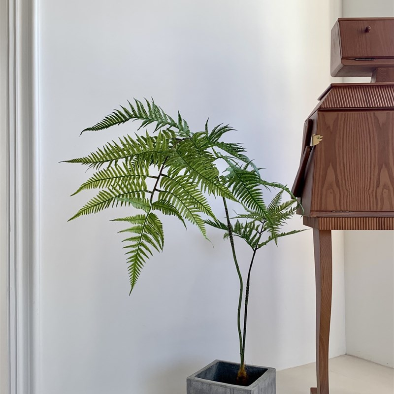 楼夏家仿b真绿植金丝猴头蕨室内橱窗假植物摆件日式网红禅意盆景