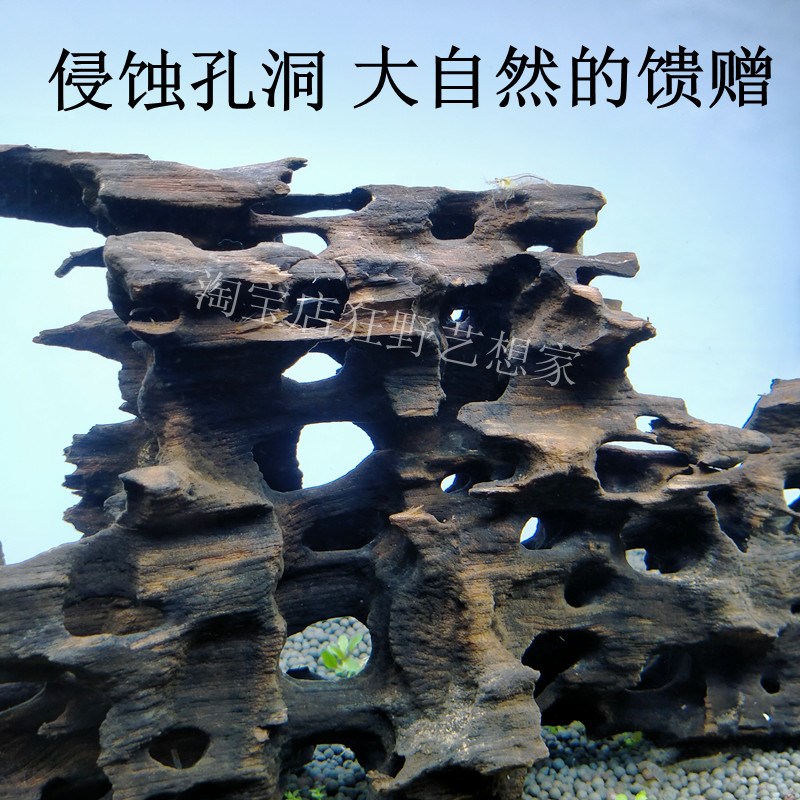 虾木蜂窝龙骨木天然躲避屋洞I泡水可沉水免煮免泡