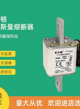 全新快速熔断器保险170M3688 170M3689 170M3690
