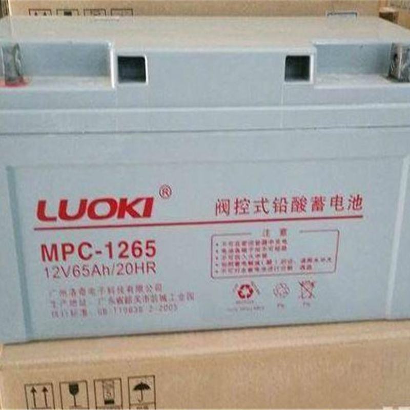 洛奇蓄电池 MPC-12238/24/65/100/120/150/200ahEPS直流屏专用