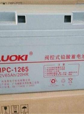 洛奇蓄电池 MPC-12238/24/65/100/120/150/200ahEPS直流屏专用