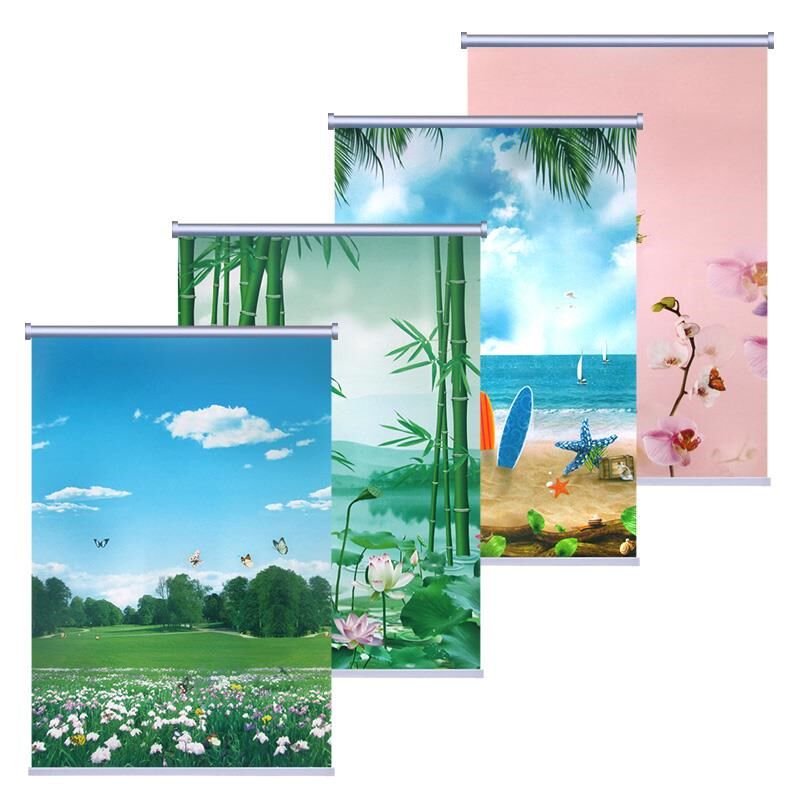 风景画遮光卷帘式窗帘定制客厅卧室书厨房阳台浴室防水转轴拉升降