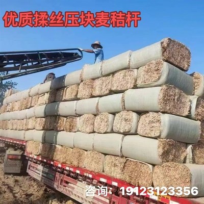 小麦秸秆草料牛羊吃的草喂牛草料牛羊干麦秆牛羊草料牛羊吃的干草