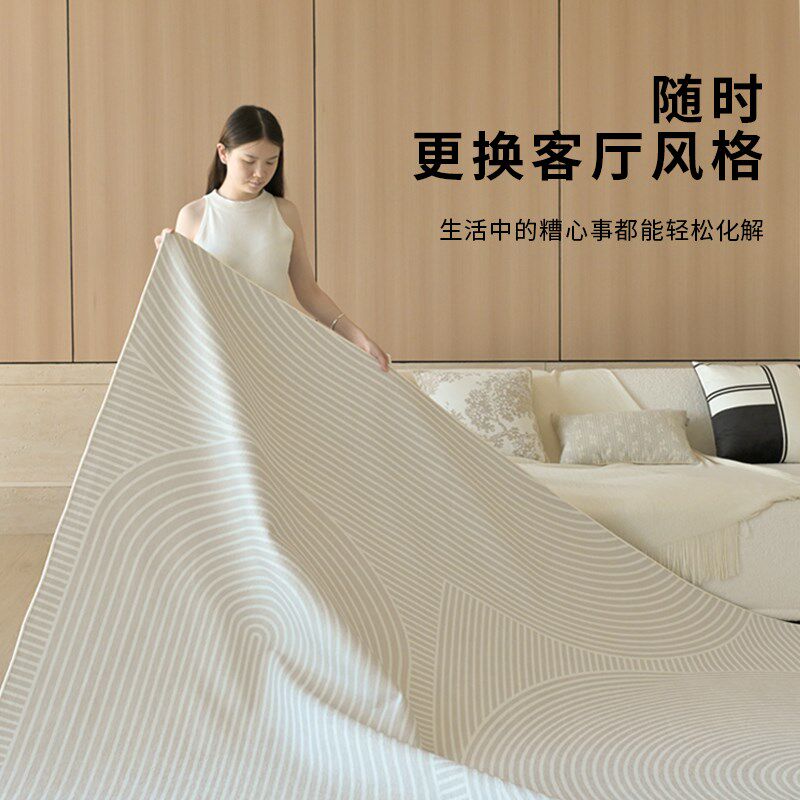 可拆洗地毯客厅2024可机洗奶油风现代简约卧室家用沙发茶几地垫