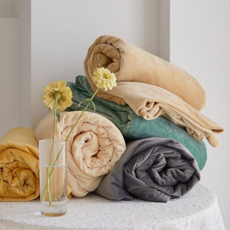 T3LC冬季保暖加厚天鹅绒床单单件 珊瑚绒床套加绒.法兰绒床罩