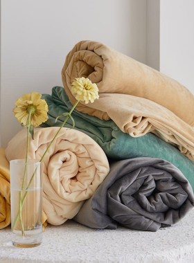 T3LC冬季保暖加厚天鹅绒床单单件 珊瑚绒床套加绒.法兰绒床罩