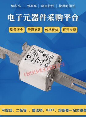 快速熔断器保险丝 170M3223/3228/3229/3238/3239/3240/3241/3242